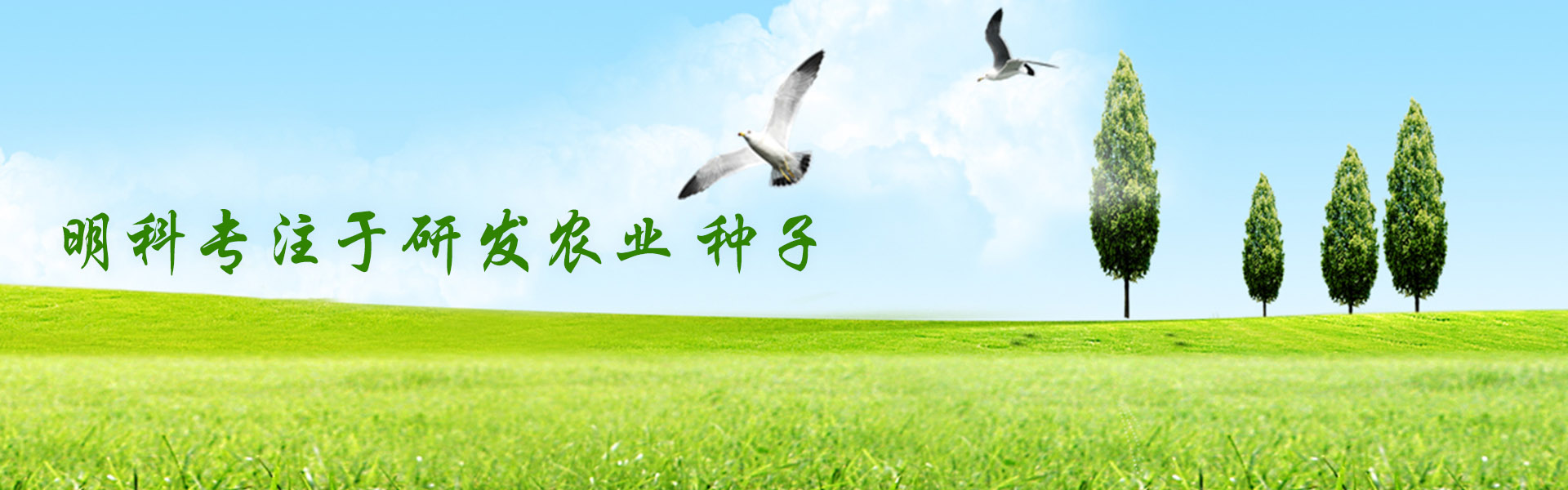 图一