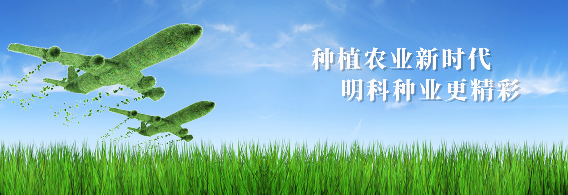 图二